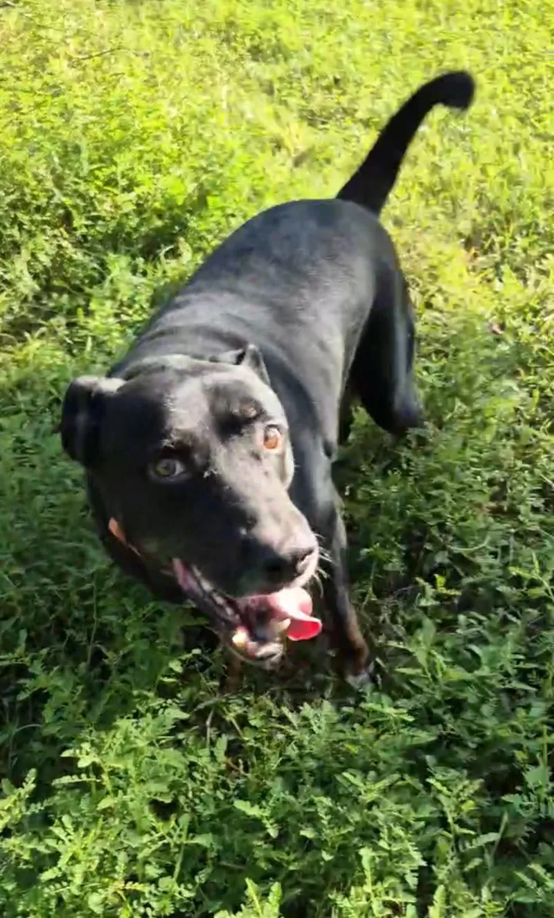 Roger Moore thumbnail 5