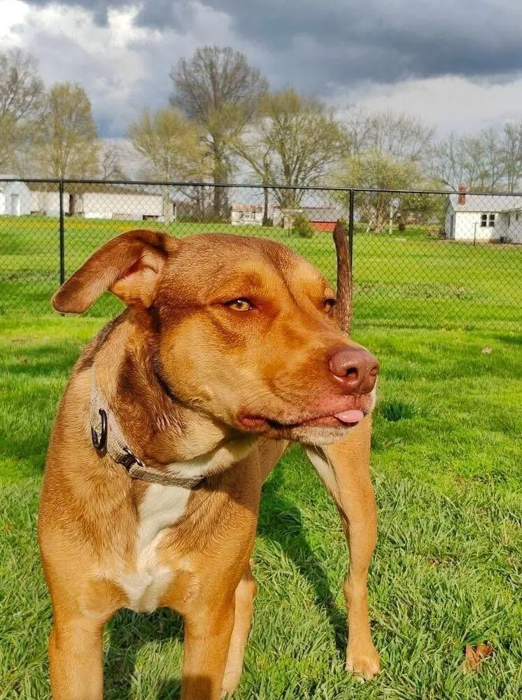 Buck Strickland thumbnail 2