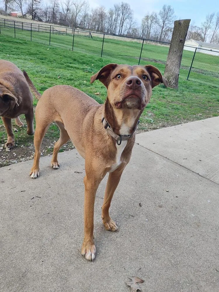 Buck Strickland thumbnail 3