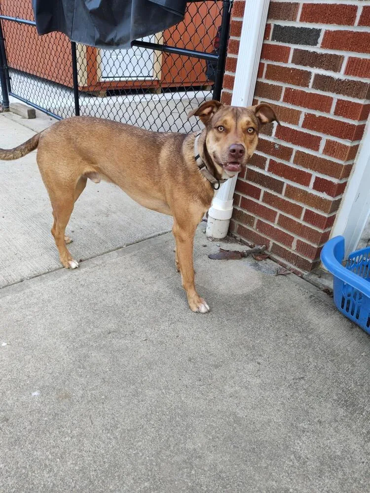 Buck Strickland thumbnail 4