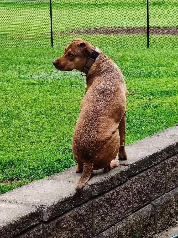 Buck Strickland thumbnail 5