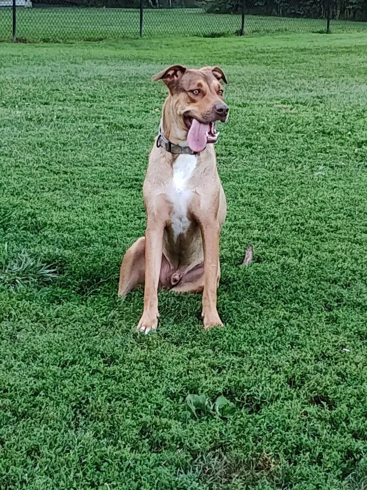 Buck Strickland thumbnail 6