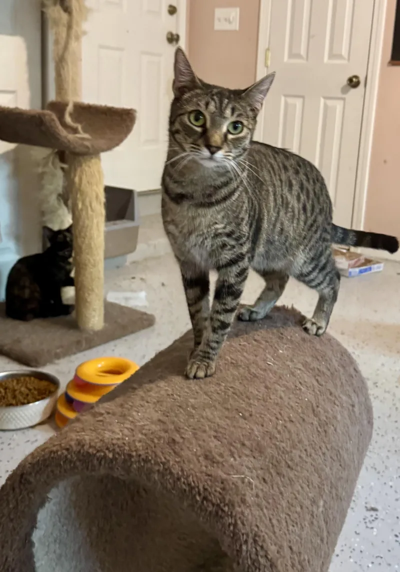 Fletcher =^.^= thumbnail 5