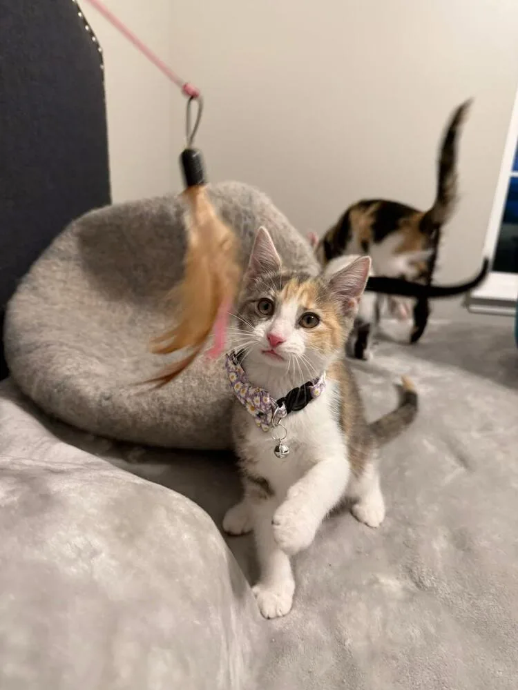 Margaret thumbnail 2