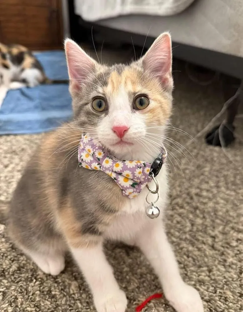 Margaret thumbnail 3