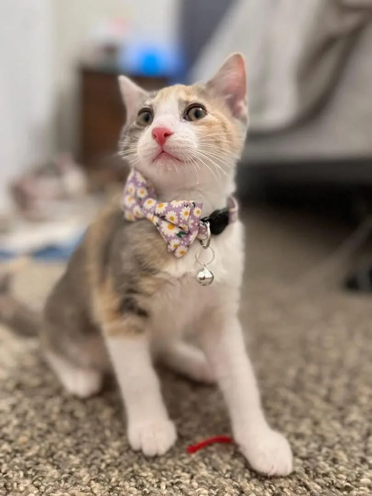 Margaret thumbnail 5