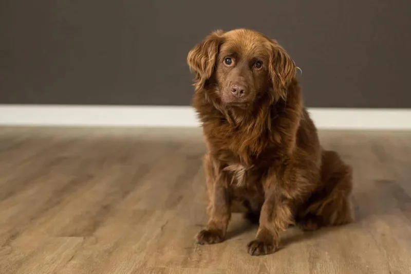 Paulding thumbnail 2