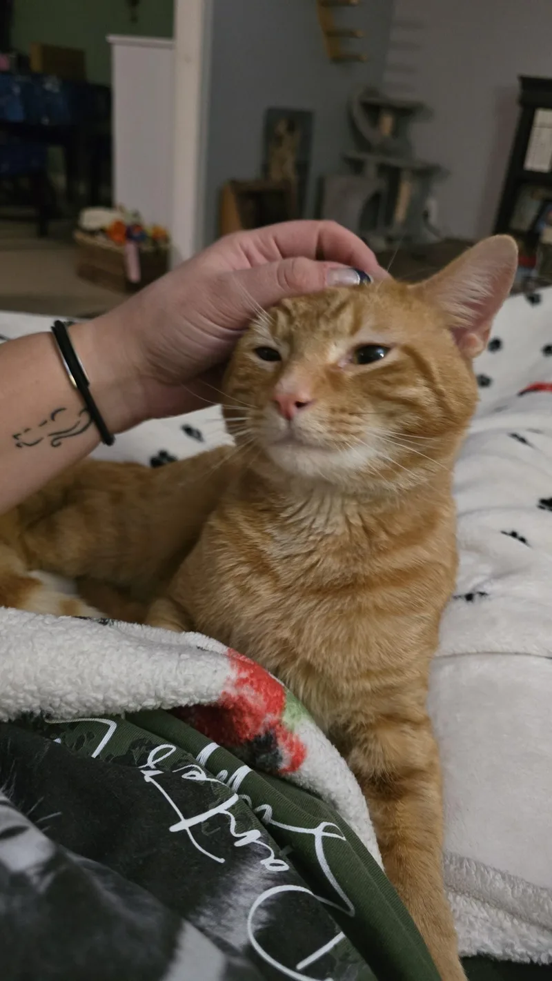 Reginald aka Reggie thumbnail 3