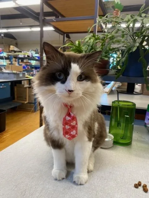 Harry Potter thumbnail 3