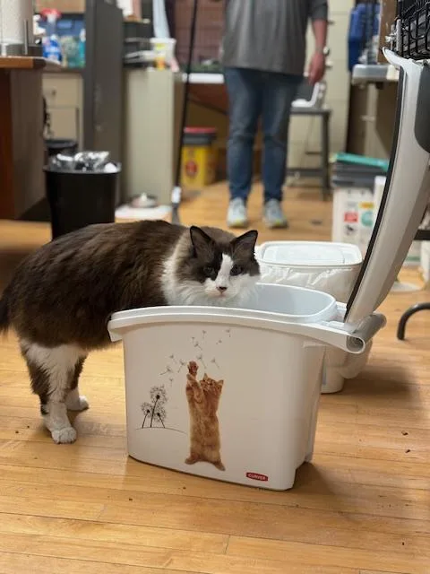 Harry Potter thumbnail 4