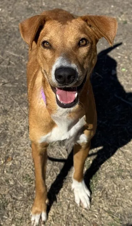 Billie Jean thumbnail 2