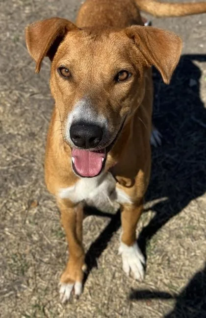 Billie Jean thumbnail 3