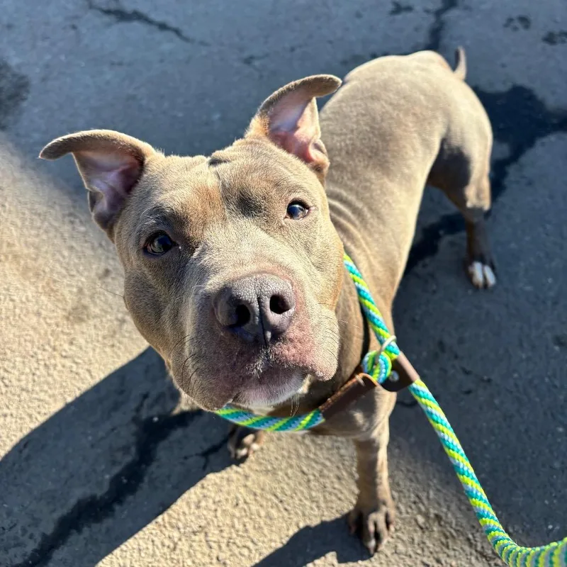 Raffaele thumbnail 2