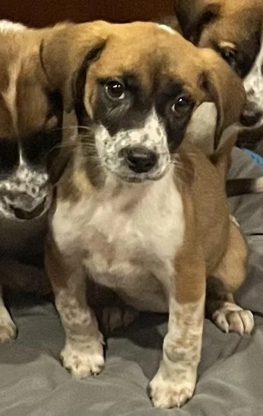 Valentine thumbnail 2