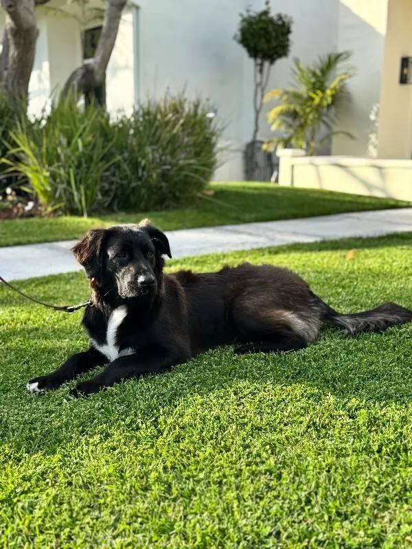 Benjamin thumbnail 2