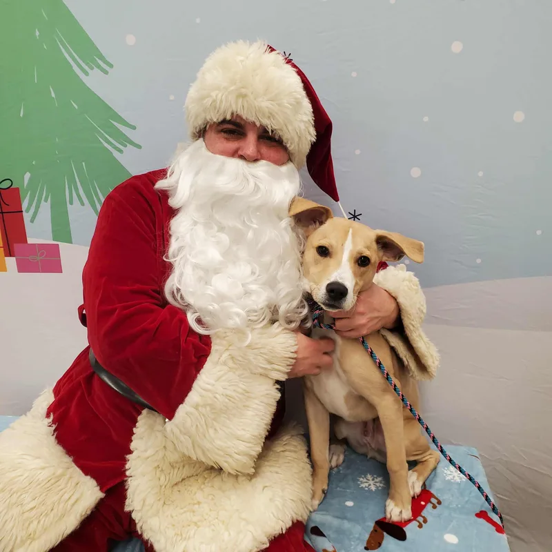 Petey  Paws Behind thumbnail 2