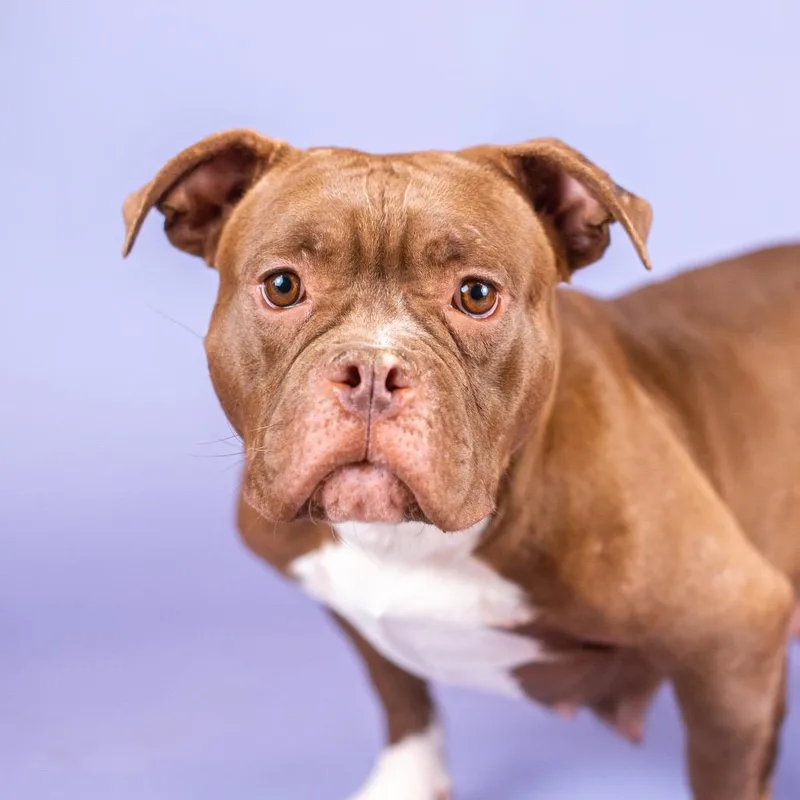 Fishy Friend thumbnail 4