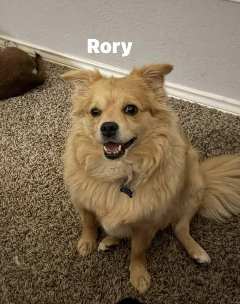 Rory