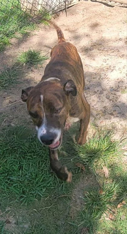 Tim Mcgraw thumbnail 3