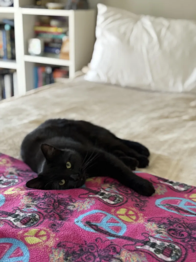 Charlieheart Of Gold thumbnail 5