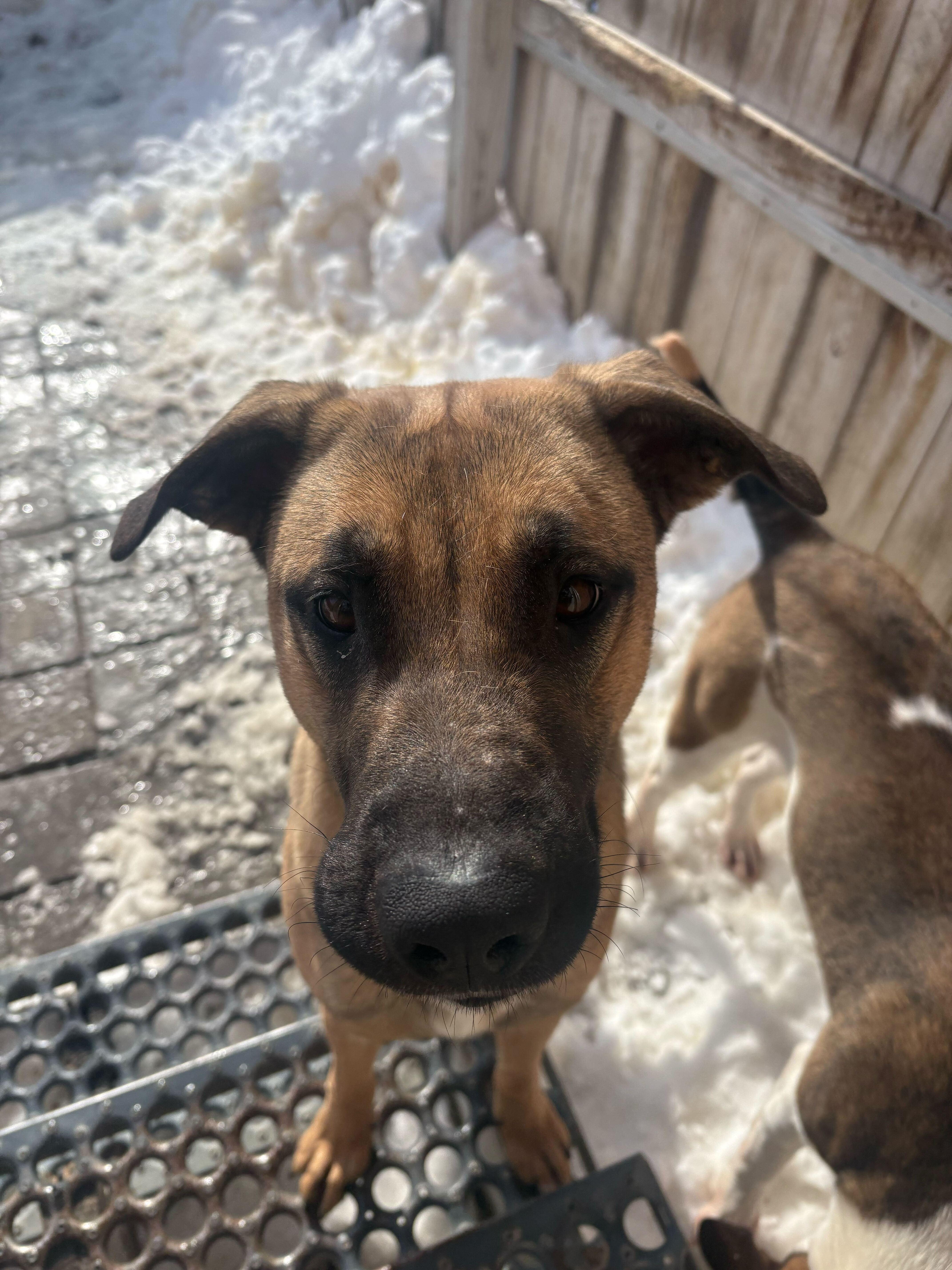 Skywalker thumbnail 2