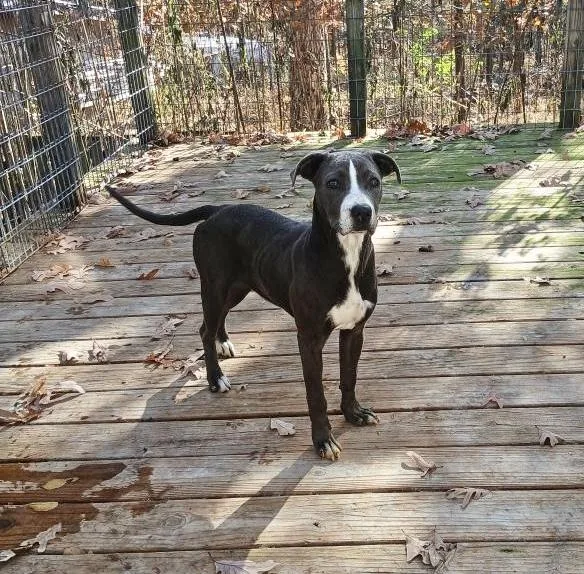 Blue Ivey thumbnail 5