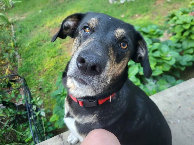 Yona.....fee Sponsorship thumbnail 2