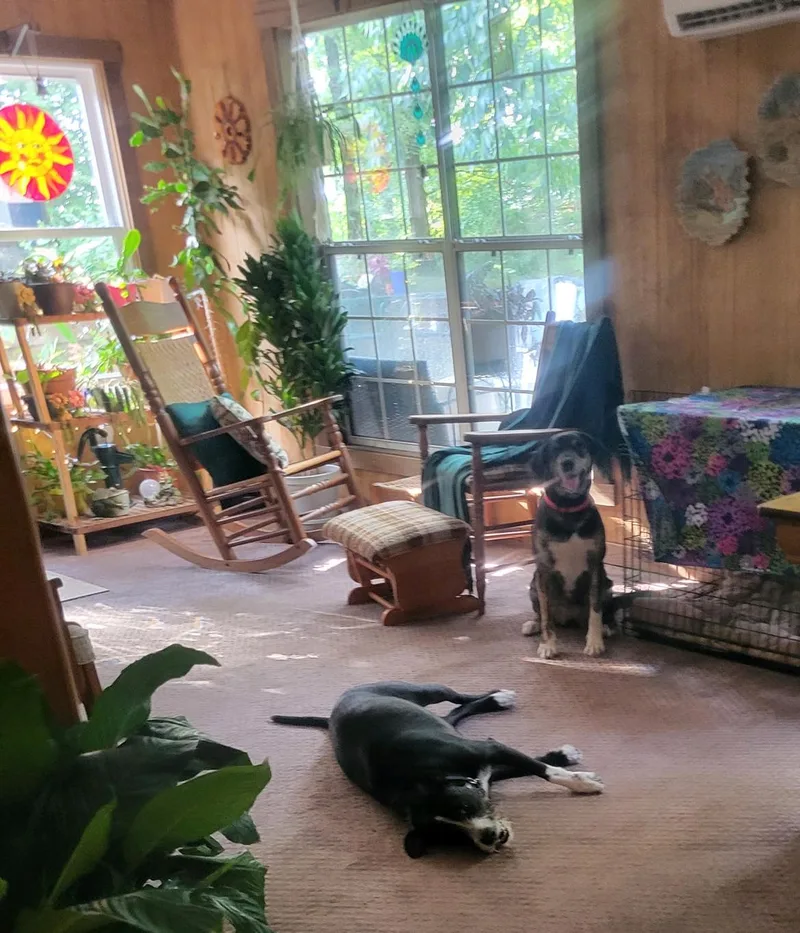 Yona.....fee Sponsorship thumbnail 3