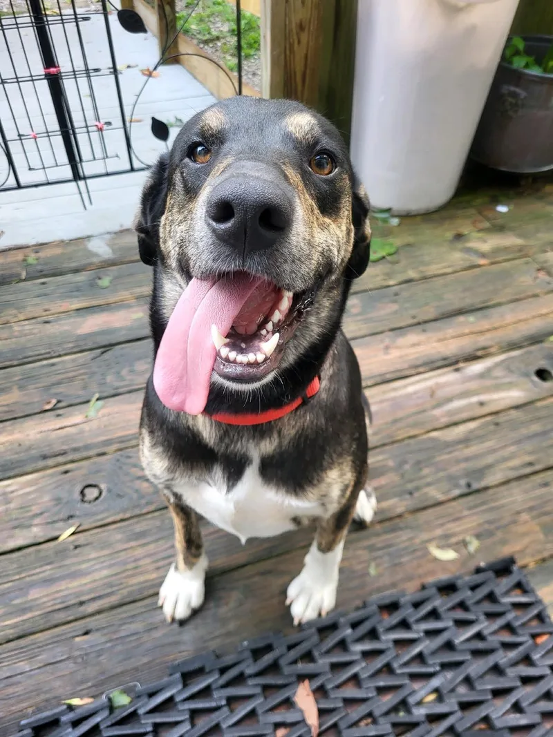 Yona.....fee Sponsorship thumbnail 4