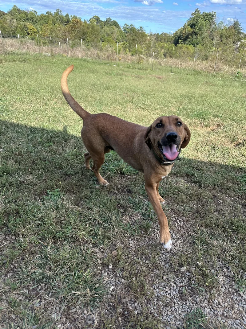 Danny.......fee Sponsorship thumbnail 2