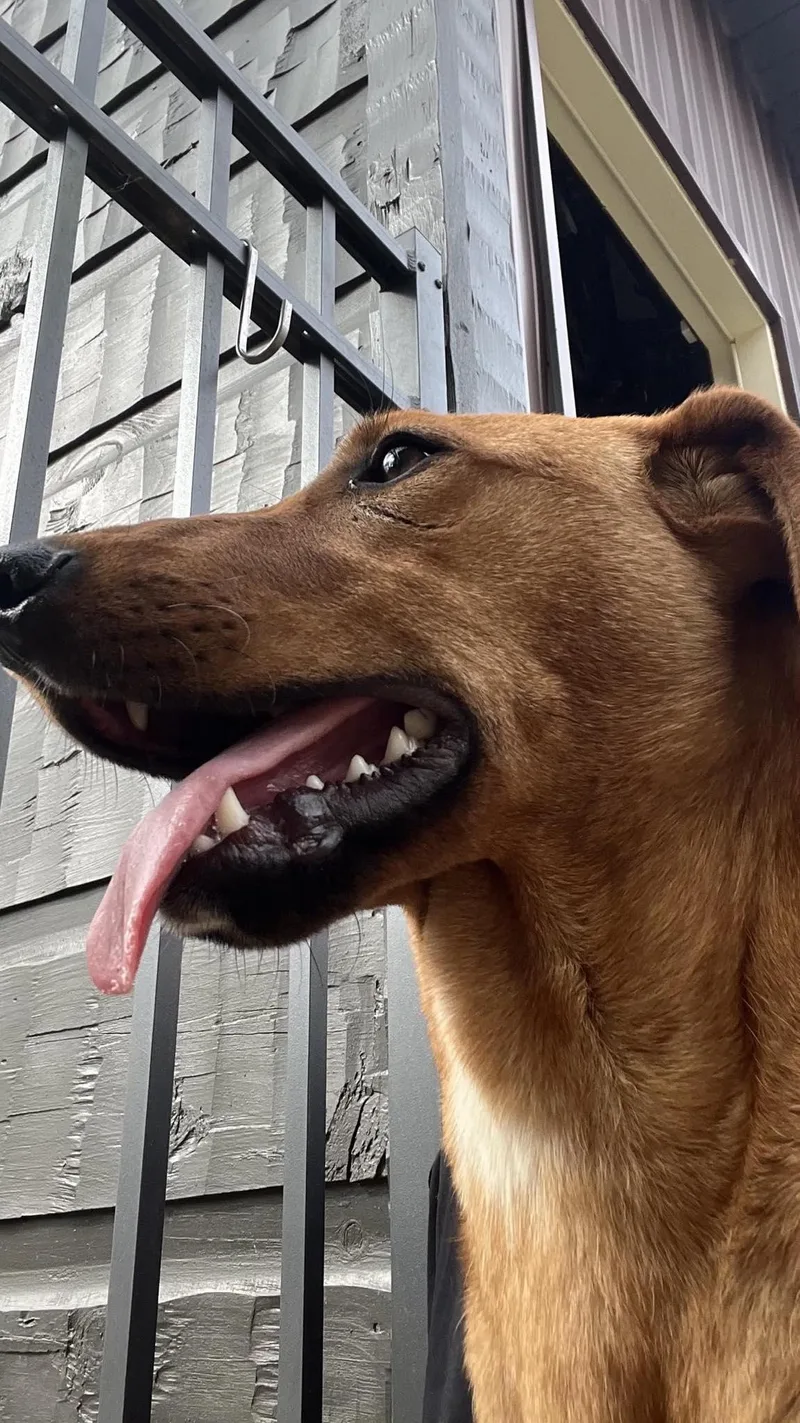 Danny.......fee Sponsorship thumbnail 3