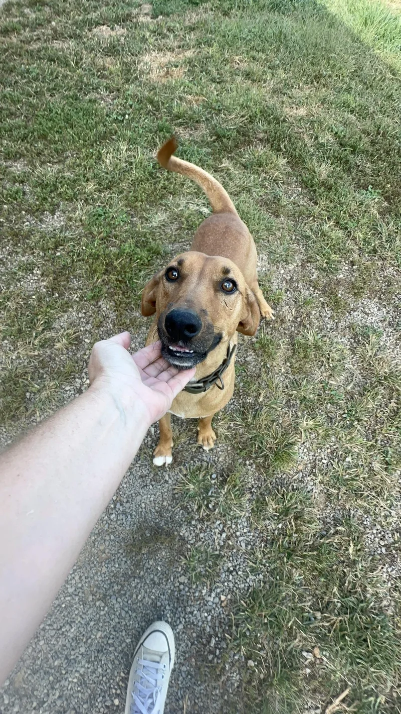 Danny.......fee Sponsorship thumbnail 4