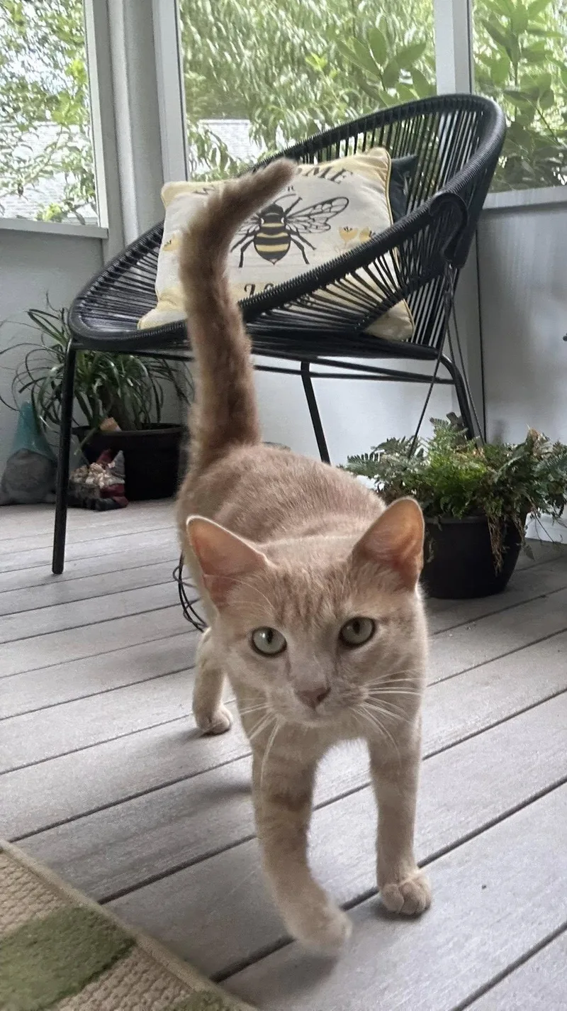 Neyland.......fee Sponsorship thumbnail 3