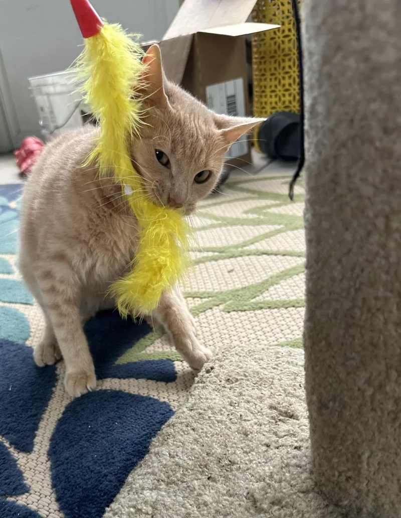 Neyland.......fee Sponsorship thumbnail 5