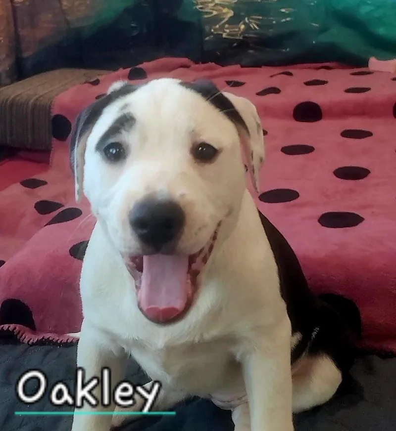 Oakley~ Silly And Smiley