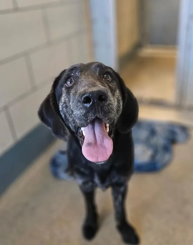 Marigold thumbnail 2