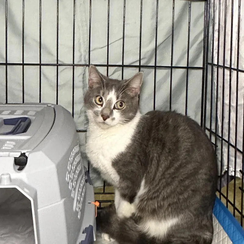 Felicity thumbnail 4