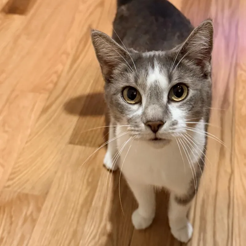 Felicity thumbnail 5