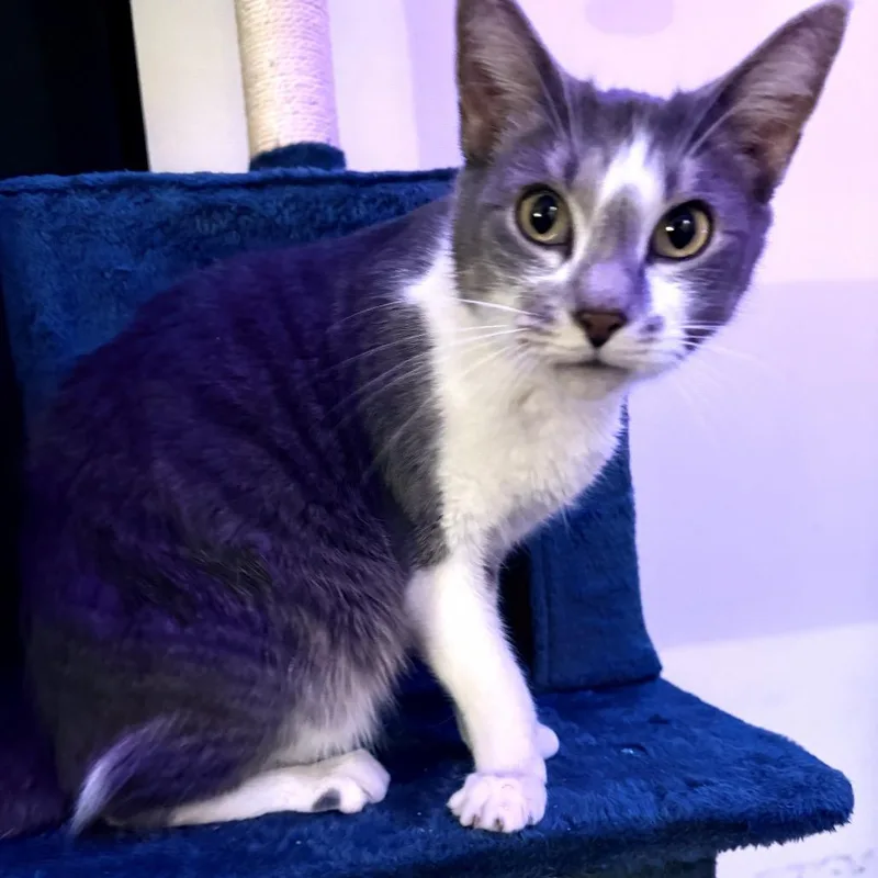 Felicity thumbnail 6