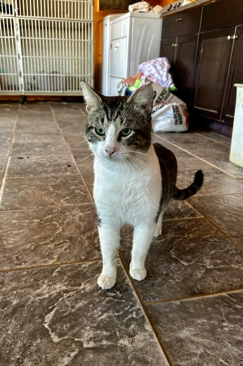 Mr. Friendly thumbnail 4