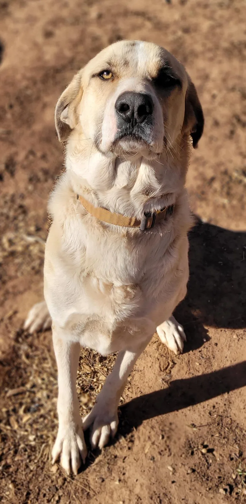 Walter Jenkins thumbnail 3