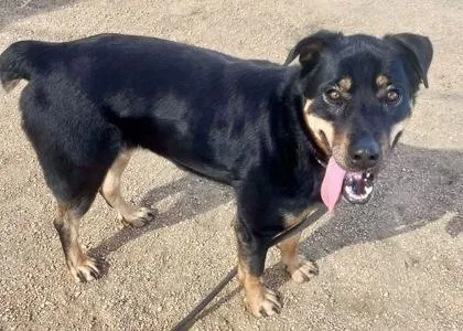 Mercedes thumbnail 2