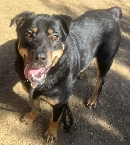 Mercedes thumbnail 3