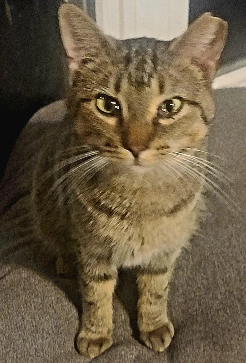 Mamasito thumbnail 2