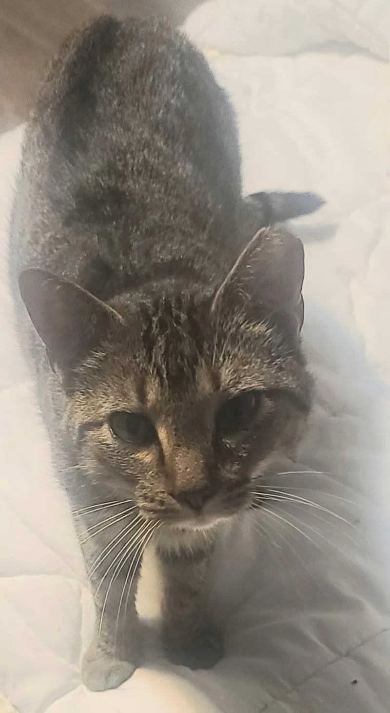 Mamasito thumbnail 3