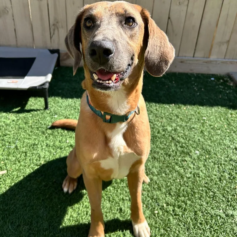 Frankie Bean thumbnail 2