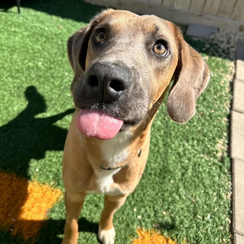 Frankie Bean thumbnail 3