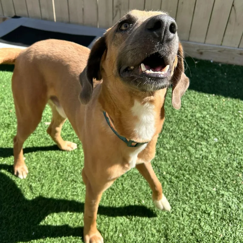 Frankie Bean thumbnail 4