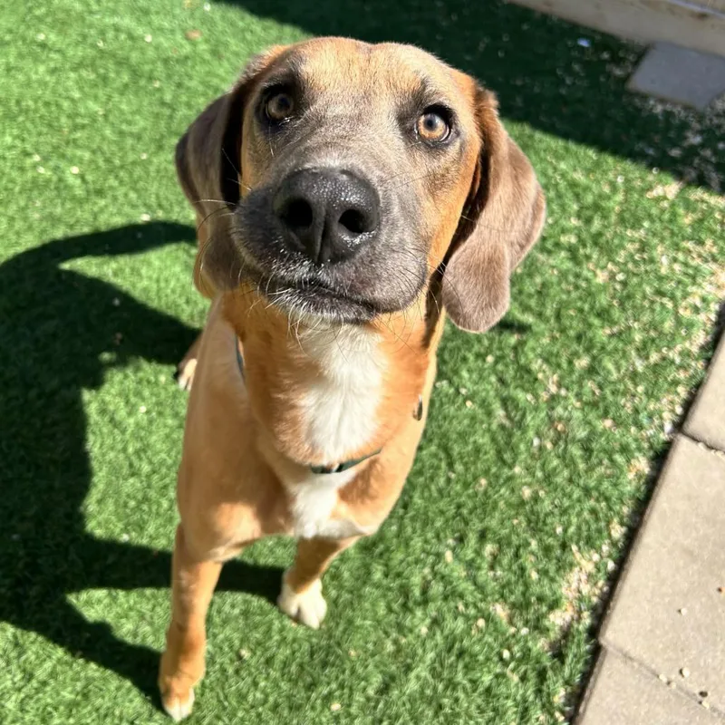 Frankie Bean thumbnail 5