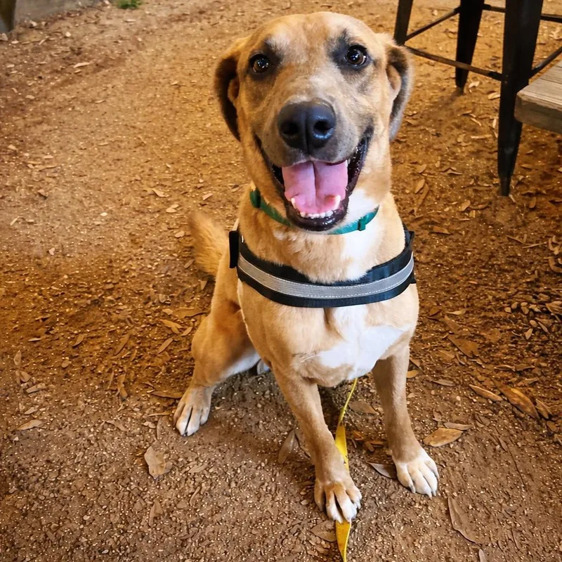 Frankie Bean thumbnail 6